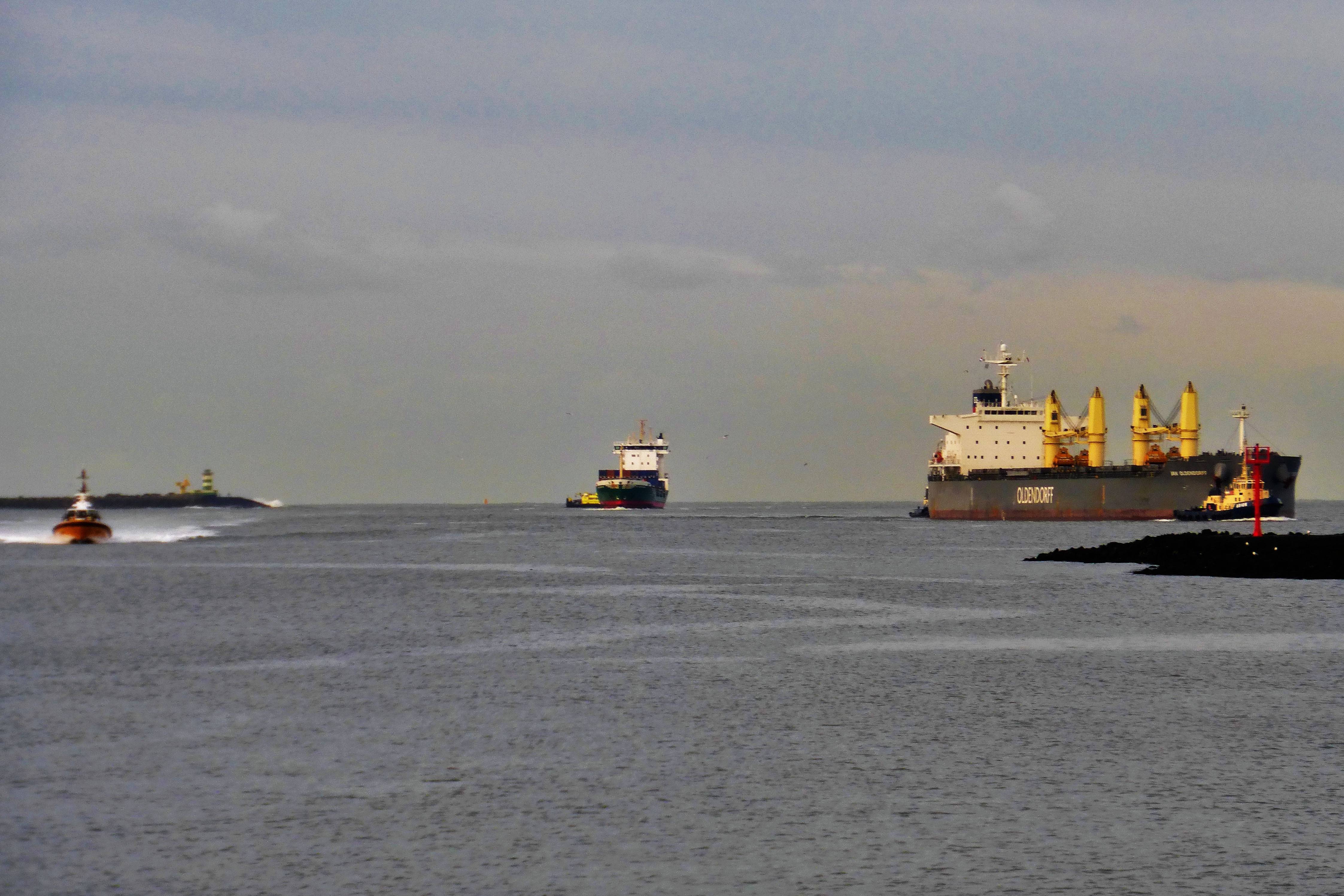 Pieren IJmuiden   14-01-21 